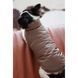 Жилет Pet Fashion Hardy для собак утеплений водонепроникний з отвором для повідця бежевий розмір XL 4823082437450 4823082437450 фото 5
