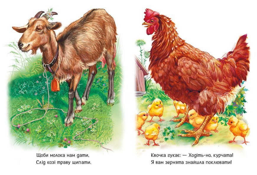 Книжка-картонка "Малятам про звіряток. Поруч з нами" Автор Меламед Геннадій 9786170978738 фото