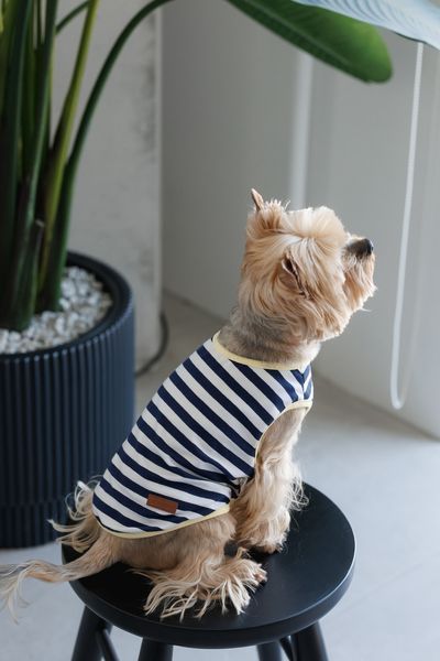 Майка Pet Fashion Tropic для собак S 4823082445776 PR244577 фото
