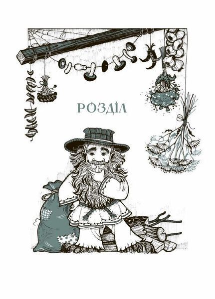 Книга Чому розквітає папороть. Автор Дара Корній. Тверда обкладинка. НЕ1587002У 9786170978936 9786170978929 фото