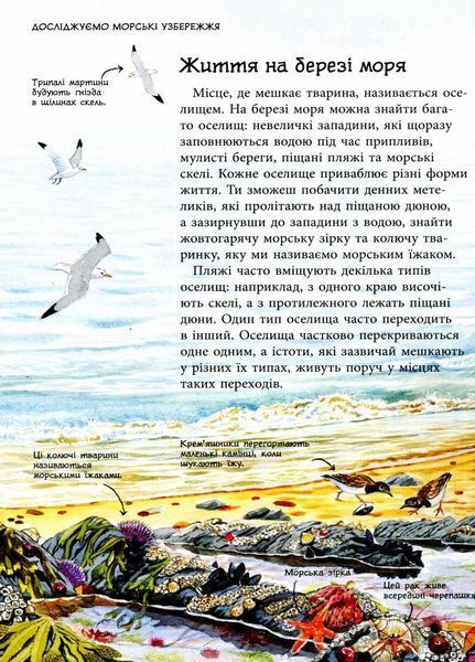 Книга Стежками природи : Океанічні й морські узбережжя. Автор Сара Таверньє С791002У 9786170956408 9786170956408 фото