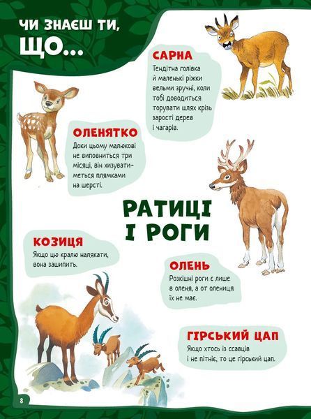 Велика книга про тварин 9786171703339 фото