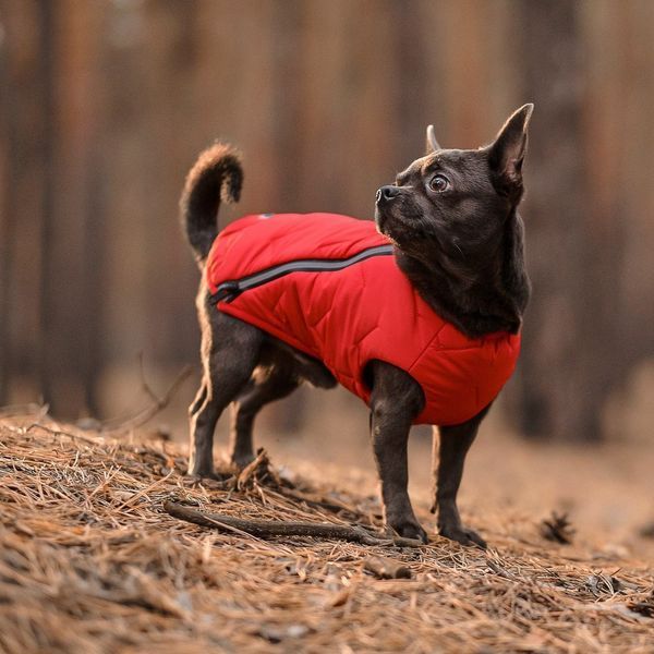 Жилет Pet Fashion E.Vest для собак червоний L 4823082424498 4823082424498 фото
