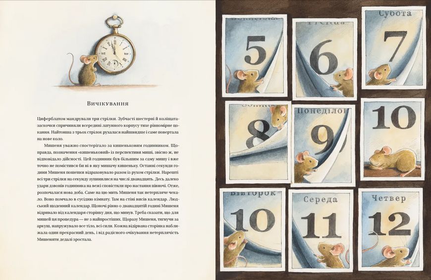 Книга Айнштайн. Фантастична подорож Мишеняти у просторі й часі 9789664483732 9789664483732 фото