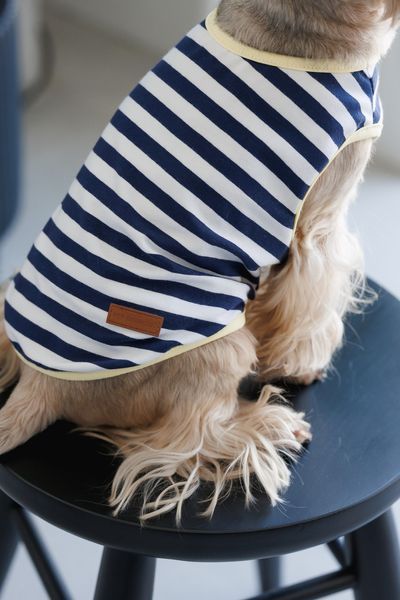Майка Pet Fashion Tropic для собак XS2 4823082445738 PR244573 фото