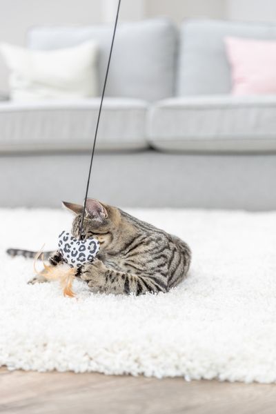 Іграшка Trixie для котів Вудочка з серцем, котяча м&rsquo;ята, плюш/пластик, 50 см 4011905829326 45385 фото