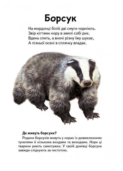 Хто це? Лісові тварини. Запитання та відповіді 9789669470379 фото