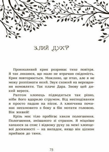 Книга Шалений шлях додому. Автор Софі Кертлі. Тверда обкладинка. НЕ1587001У 9786170976666 9786170976666 фото