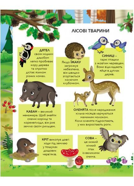Звірята у лісі. Моя перша книжка наліпок 9789669474094 фото