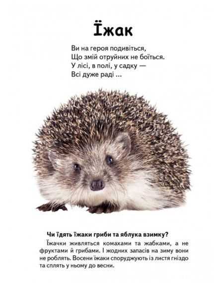 Хто це? Лісові тварини. Запитання та відповіді 9789669470379 фото