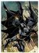 Пазл Dodo Medium-S Batman. Темний лицар, 250 елементів 8+ (200558) 4823115909596 4823115909596 фото 2