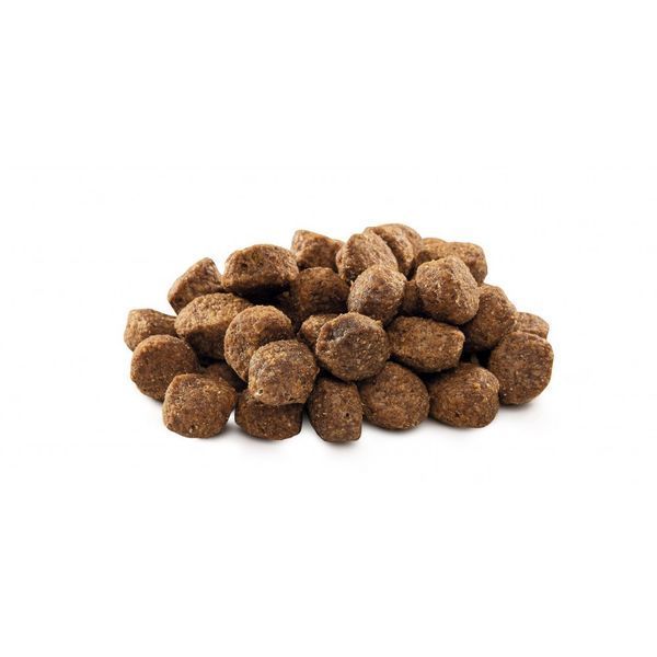 Корм сухий Brit Premium Dog Senior S+M для собак дрібних та середніх порід похилого віку вагою 1-25 кг з куркою 3 кг 8595602526390 170820/6390 фото