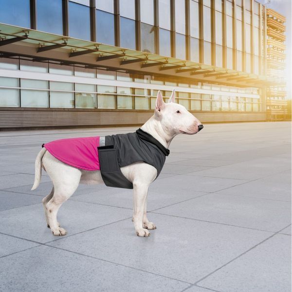 Попона Pet Fashion Roy для собак малиновий/сірий 6XL 4823082432875 4823082432875 фото