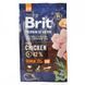 Корм сухий Brit Premium Dog Senior S+M для собак дрібних та середніх порід похилого віку вагою 1-25 кг з куркою 3 кг 8595602526390 170820/6390 фото 4