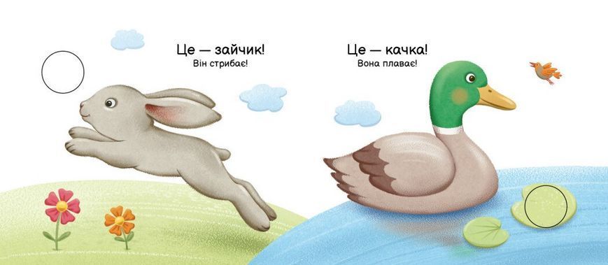 Книга Хто що вміє? Моя книжка-розкладайка А1704011У 9789667616144 9789667616144 фото
