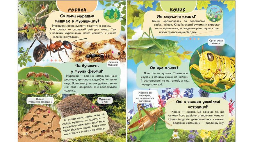 Енциклопедія Комахи та інші Пегас 9786178638337 9786178638337 фото