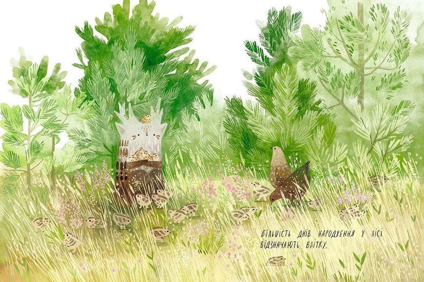 Книга День народження ялинки. Автор - Оксана Була (ВСЛ) 9786176796183 фото
