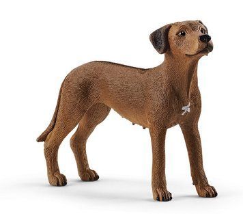 Іграшка фігурка Schleich Родезійський риджбек (6833866) 4059433007229 4059433007229 фото