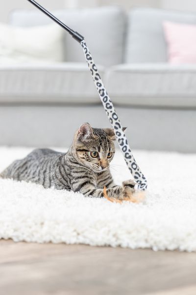 Іграшка Trixie для котів Вудочка з плюшевою іграшкою, котяча м&rsquo;ята, плюш/пластик, 51 см 4011905829388 45387 фото