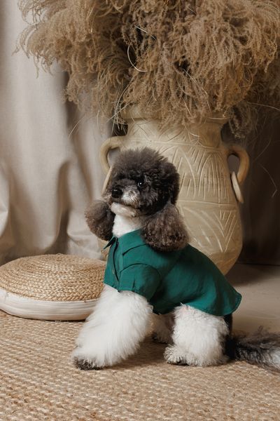 Сорочка Pet Fashion Seaman для собак XХS 4823082446193 PR244619 фото