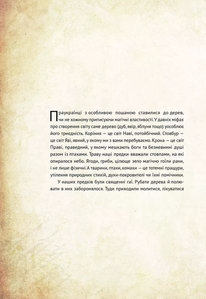 Чарівні істоти українського міфу Духи природи 9786176908982 фото