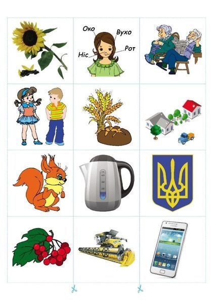 Знайди пару. Пам&rsquo;ять. Для дітей п&rsquo;ятого року життя Гудзь В., Фенюк Б., 978-966-944-041-9 9789669440419 фото