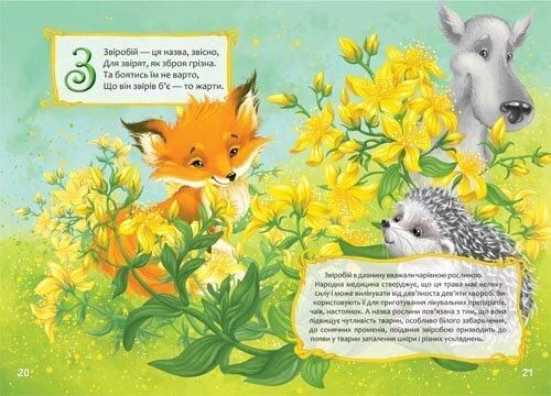 Книга "Квіткова абетка" Талант Тверда Обкладинка Автор Володимир Верховень 9786176953913 фото