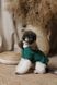 Сорочка Pet Fashion Seaman для собак XХS 4823082446193 PR244619 фото 6