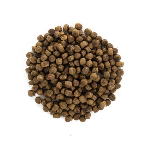 Корм сухий Brit Care Cat Grain Free Kitten Healthy Growth and Development для кошенят для здорового зростання та розвитку 171277/0662 фото