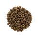 Корм сухий Brit Care Cat Grain Free Kitten Healthy Growth and Development для кошенят для здорового зростання та розвитку 171277/0662 фото 2