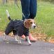 Комбінезон Pet Fashion RAIN для собак сірий 2XL 4823082425907 4823082425907 фото 4