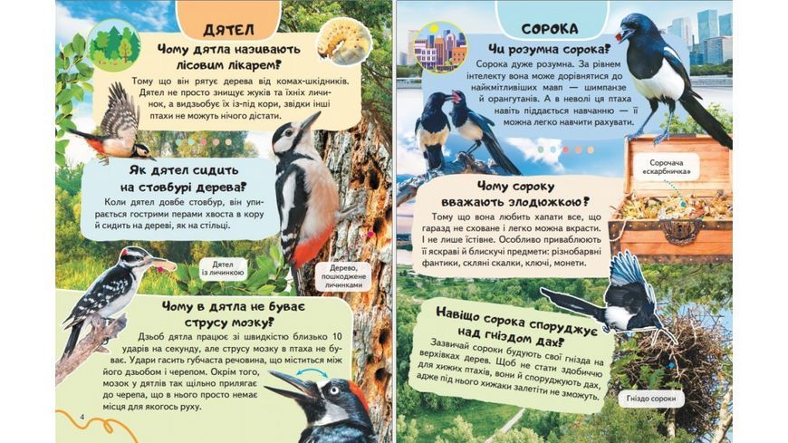 Енциклопедія Птахи Пегас 9786178638344 9786178638344 фото