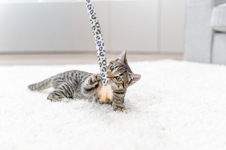 Іграшка Trixie для котів Вудочка з плюшевою іграшкою, котяча м&rsquo;ята, плюш/пластик, 51 см 4011905829388 45387 фото