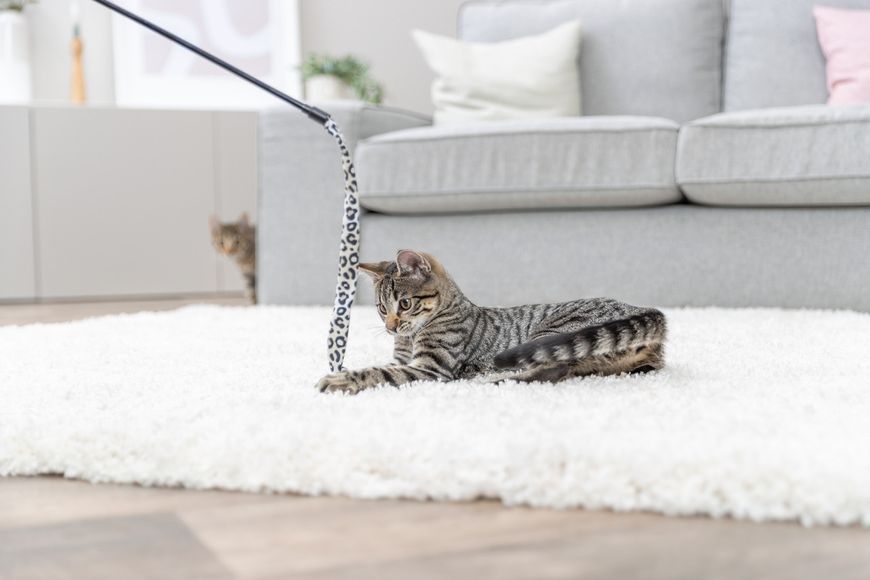 Іграшка Trixie для котів Вудочка з плюшевою іграшкою, котяча м&rsquo;ята, плюш/пластик, 51 см 4011905829388 45387 фото