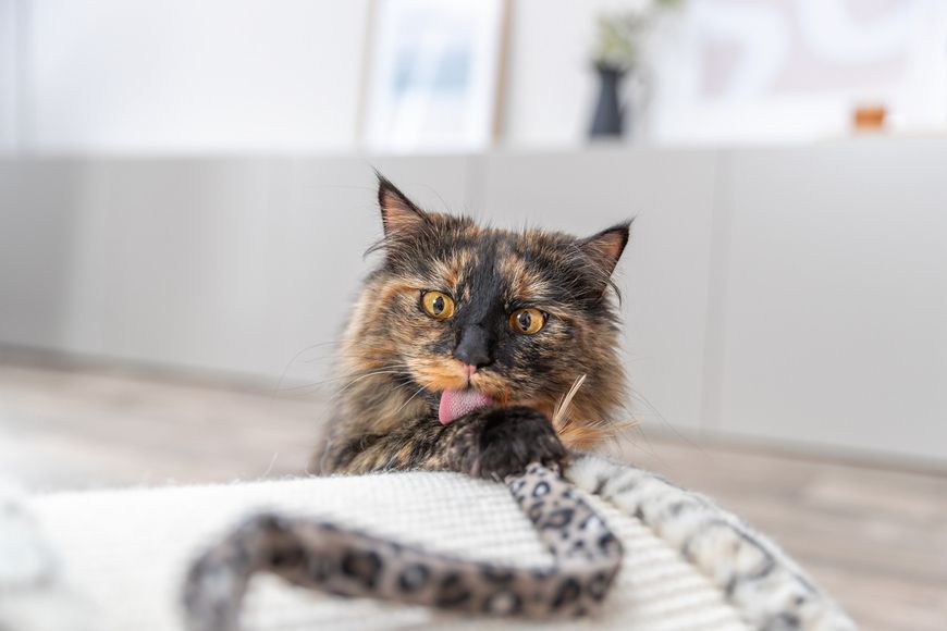 Іграшка Trixie для котів Вудочка з плюшевою іграшкою, котяча м&rsquo;ята, плюш/пластик, 51 см 4011905829388 45387 фото