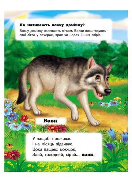 Хто це? В лісі. Запитання та відповіді 9789669470454 фото