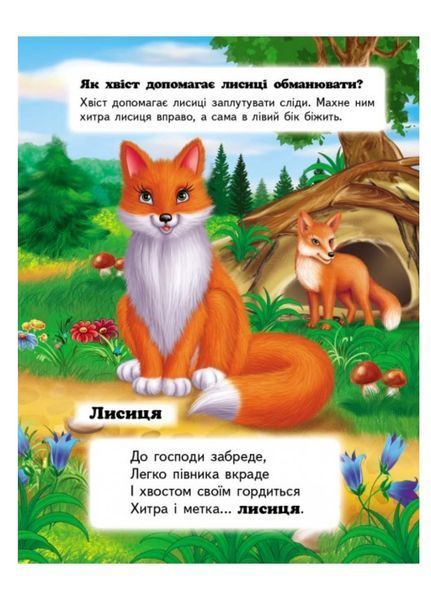 Хто це? В лісі. Запитання та відповіді 9789669470454 фото