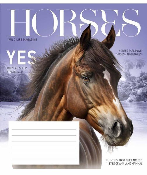Зошити учнівські, набір 5 шт, Fauna magazine ВД-лак. Зошит Star у лінію 12арк. 3428 4820006472061 4820006472061_012-3428L фото