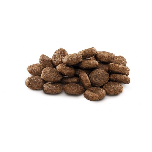 Корм сухий Brit Premium Dog Junior L для цуценят та молодих собак великих порід від 1 до 24 місяців вагою 25-45 кг з куркою 8595602526437 170824/6437 фото