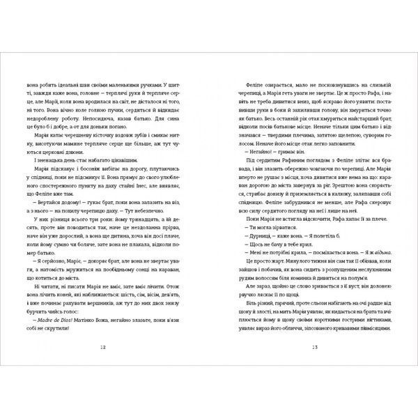Поховай наші кості в опівнічній землі 9786178566401 9786178566401 фото