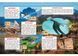 Книга-картонка. Твоя перша книга. Літаючі ящери (Crystal Book) F00015845 фото 2