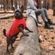 Жилет Pet Fashion E.Vest для собак червоний SМ 4823082424467 4823082424467 фото 4