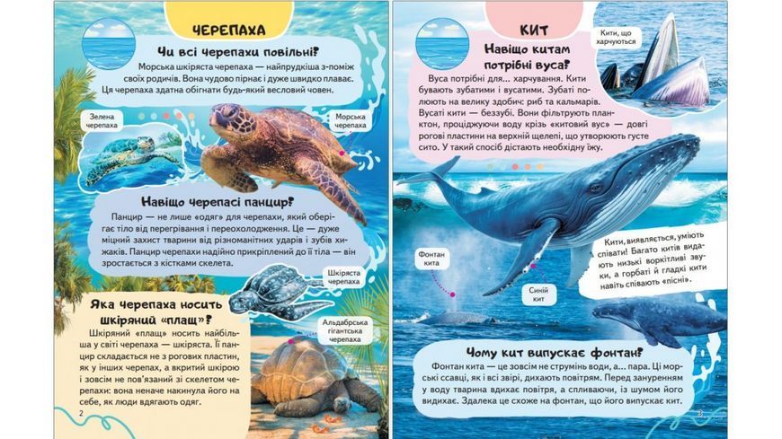 Енциклопедія Тварини водного світу Пегас 9786178638313 9786178638313 фото