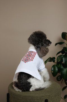 Футболка Pet Fashion Ukraine для собак M 4823082446223 PR244622 фото
