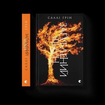 Книга Напівзагублений Автор - Саллі Ґрін 9786176792765 фото