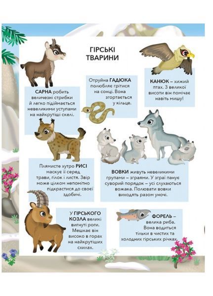 Моя перша книжка наліпок. Набір з 4 книг наліпок та розмальовок 9789669474032N фото