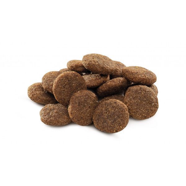 Корм сухий Brit Premium Dog Adult L для дорослих собак великих порід вагою 25-45 кг з куркою 3 кг 8595602526444 170825/6444 фото