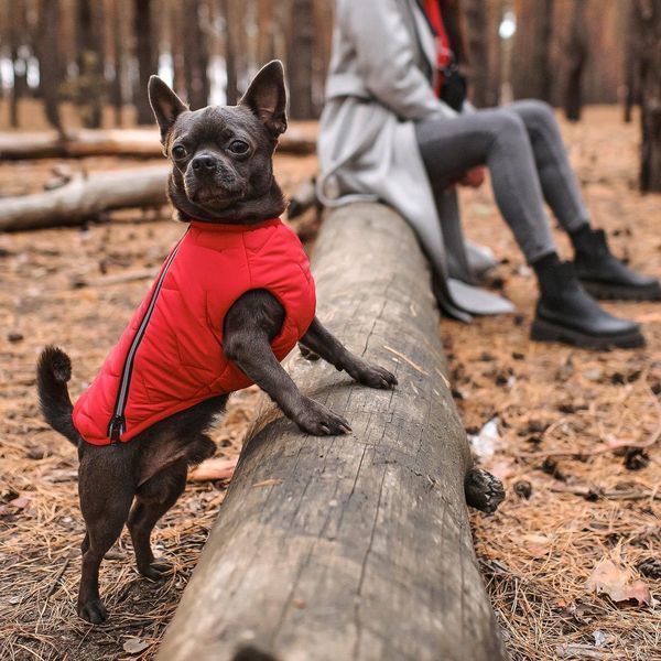 Жилет Pet Fashion E.Vest для собак червоний S 4823082424450 4823082424450 фото