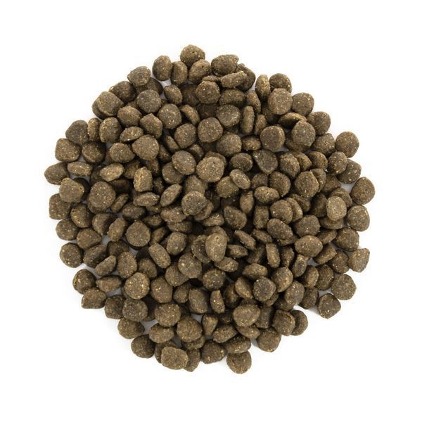Корм сухий Brit Care Grain Free Mini Adult Lamb для дорослих собах мініатюрних порід з ягням 2 кг 8595602520107 170770/0107 фото