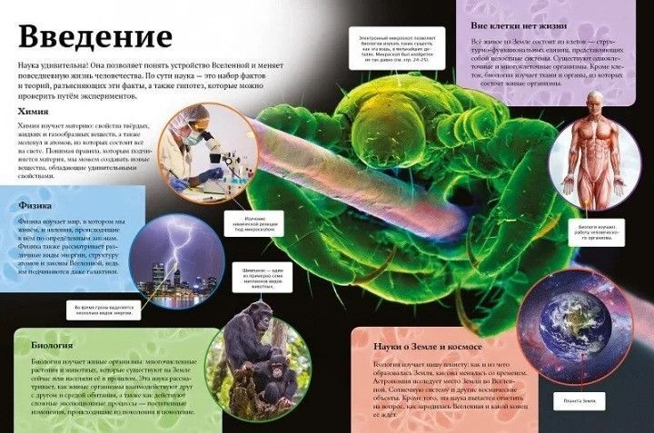 Дитяча енциклопедія науки Віват 9789669429902 фото